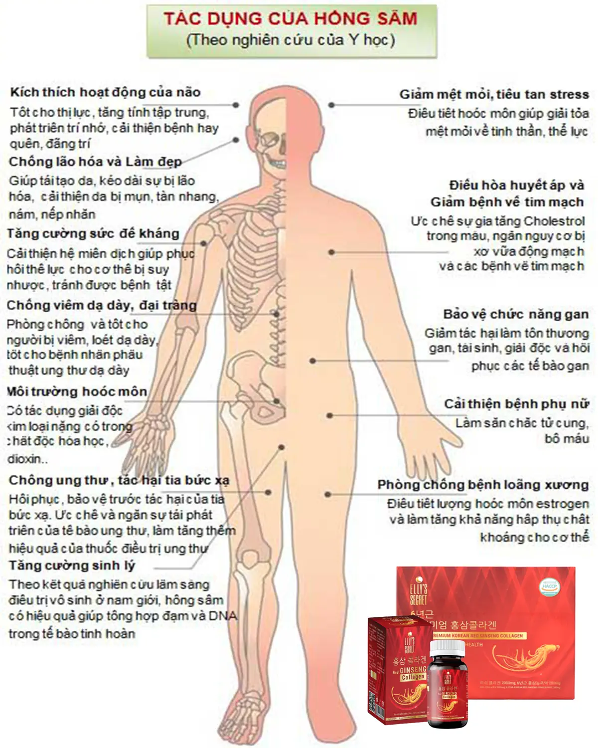 Tác Dụng Của Hồng Sâm Theo Nghiên Cứu Của Y Học