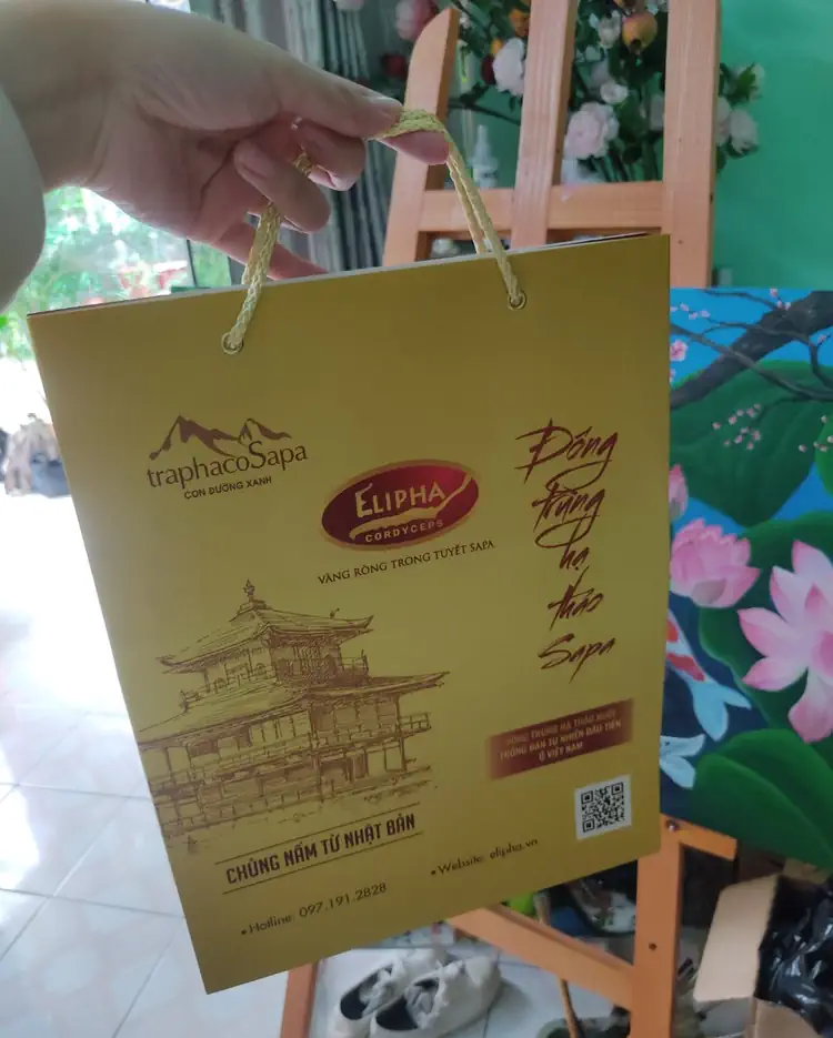 Túi đựng hộp Viên Nang Đông Trùng Hạ Thảo Sapa 28 viên có thể dùng làm quà tặng - Traphaco Sapa - 1Mall.vn