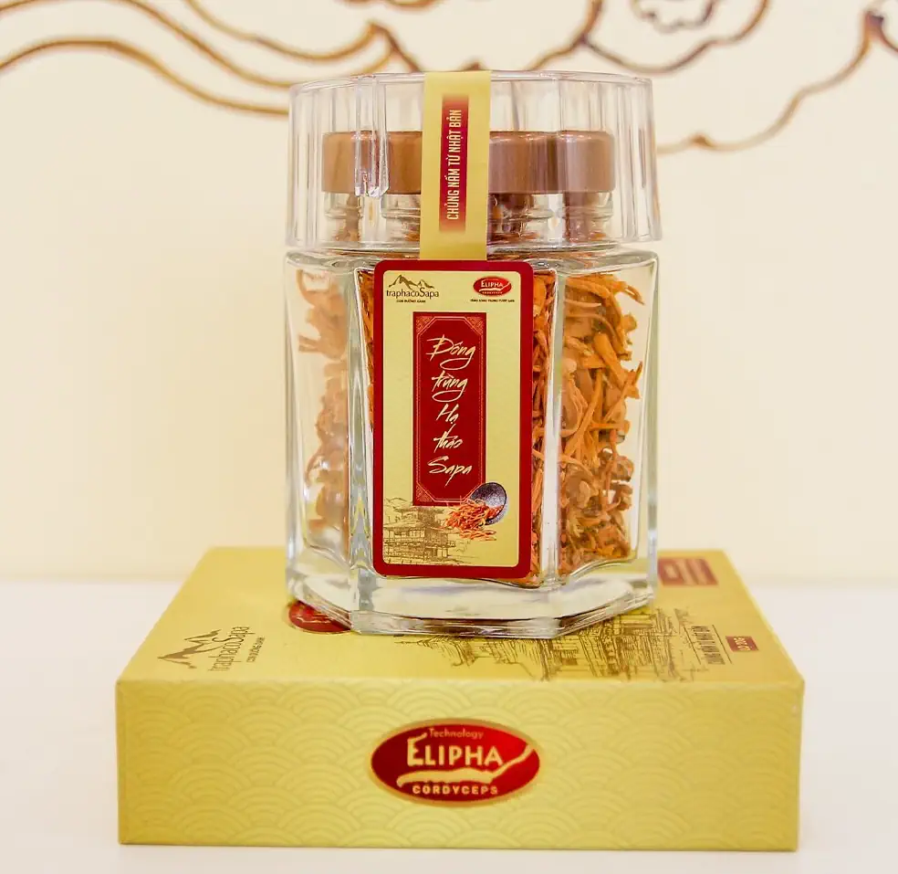 Đông trùng hạ thảo Sapa khô lọ 20gr Elipha - Traphaco Sapa - 1Mall.vn
