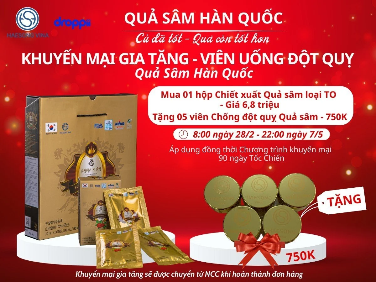 Khuyến mãi gia tăng mua Chiết xuất Quả nhân sâm Hàn Quốc tặng viên uống đột quỵ quả sâm Hàn Quốc Haesong Vina chính hãng giá tốt - 1Mall.vn