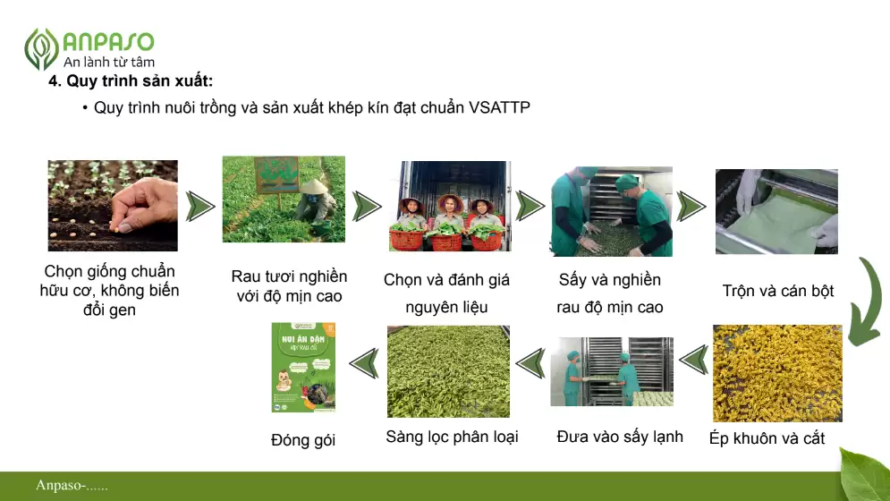 Quy Trình Sản Xuất Của Anpaso