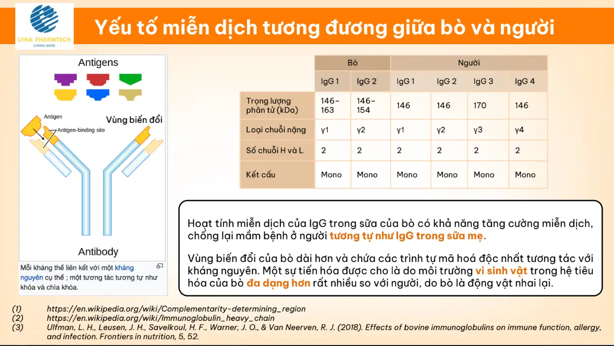 Yếu Tố Miễn Dịch Tương đương Giữa Bò Và Người- 1Mall.vn