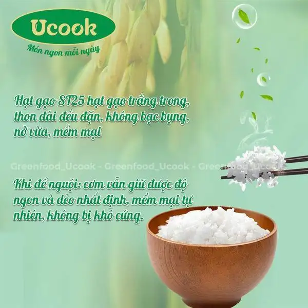 Hạt Gạo Lúa Vịt St25 Thuận Thiên 5kg - 1Mall.vn
