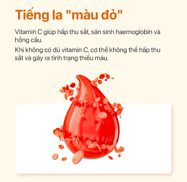 Thiếu Vitamin C Gây Thiếu Máu - Ester C