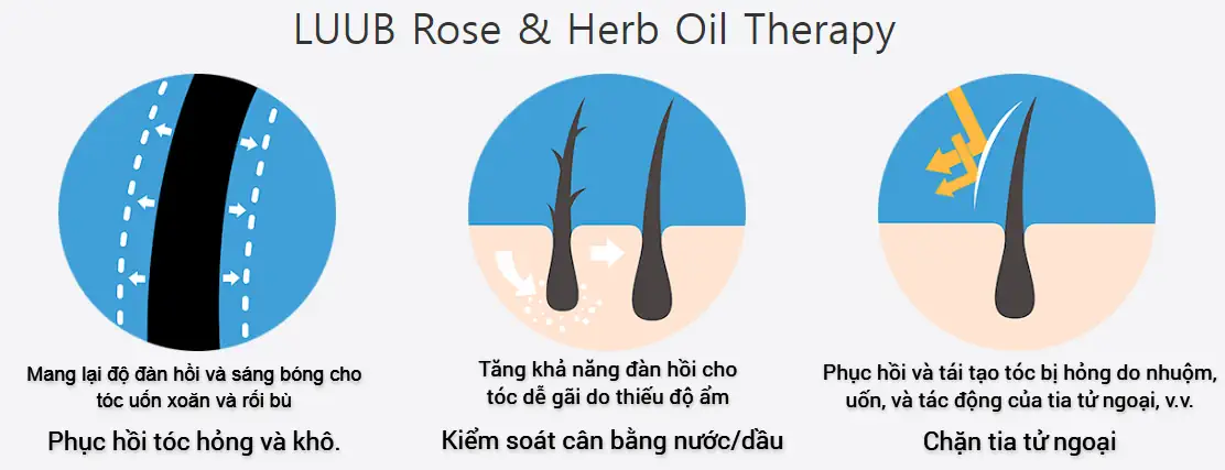 Liệu Pháp Tinh Dầu Hoa Hồng Và Thảo Mộc Trong Xịt Dưỡng Tóc Luub Q10 - 1Mall.vn