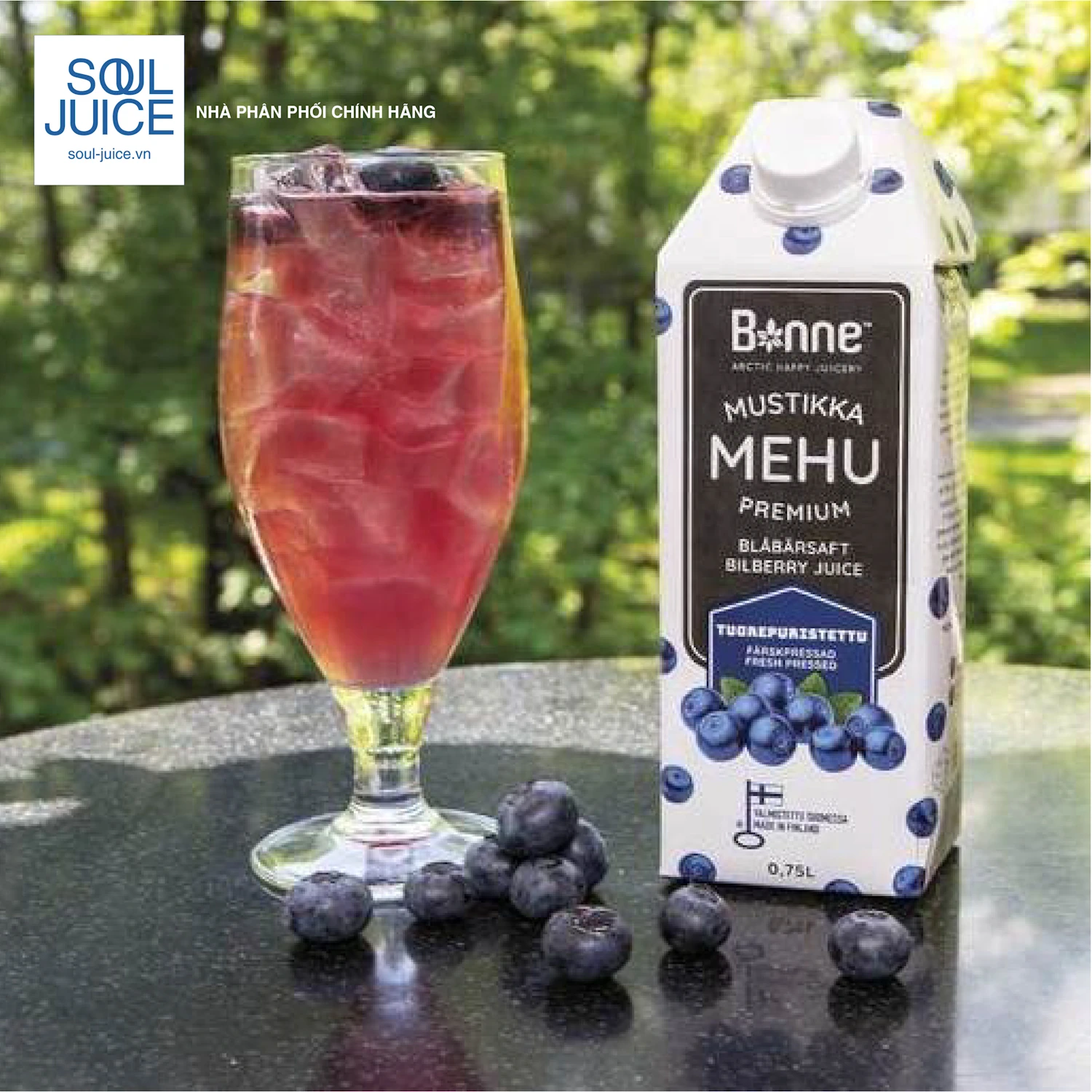 Quả Rừng Thiên Nhiên Siêu Organic - Việt Quất - 1Mall.vn