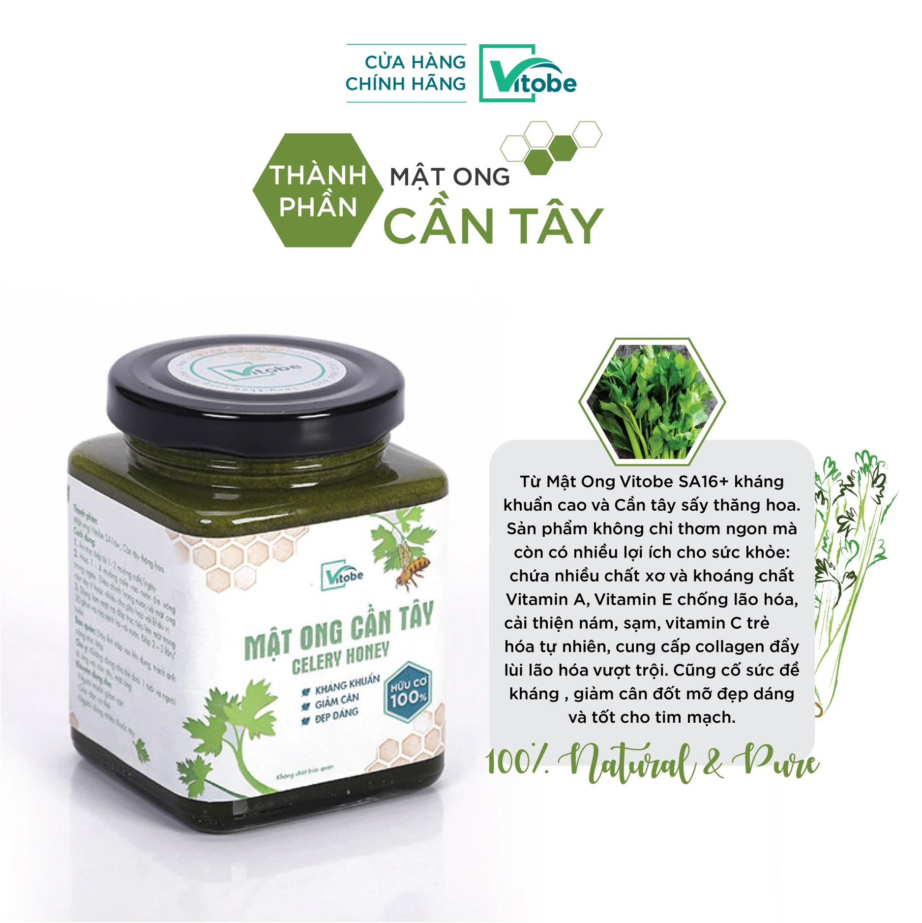Thành Phần Mật Ong Cần Tây Celery Honey - Mật Ong Vitobe - 1Mall.vn