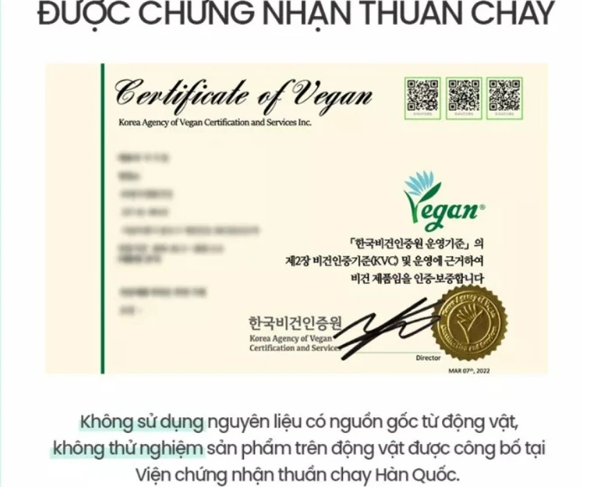 Chứng Nhận Thuần Chay Của Kem Dưỡng Phục Hồi Da Beyond Angel Aqua Cica Cream Vegan Formula - 1Mall.vn