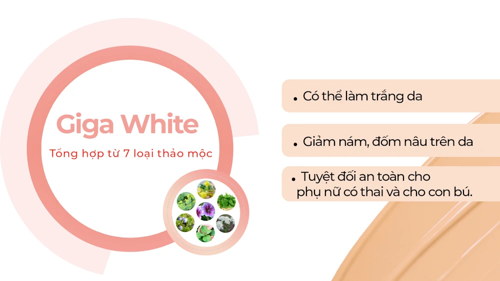 Thành Phần Phấn Nước C'choi Herbal Dd Cushion - Punar - 1Mall.vn