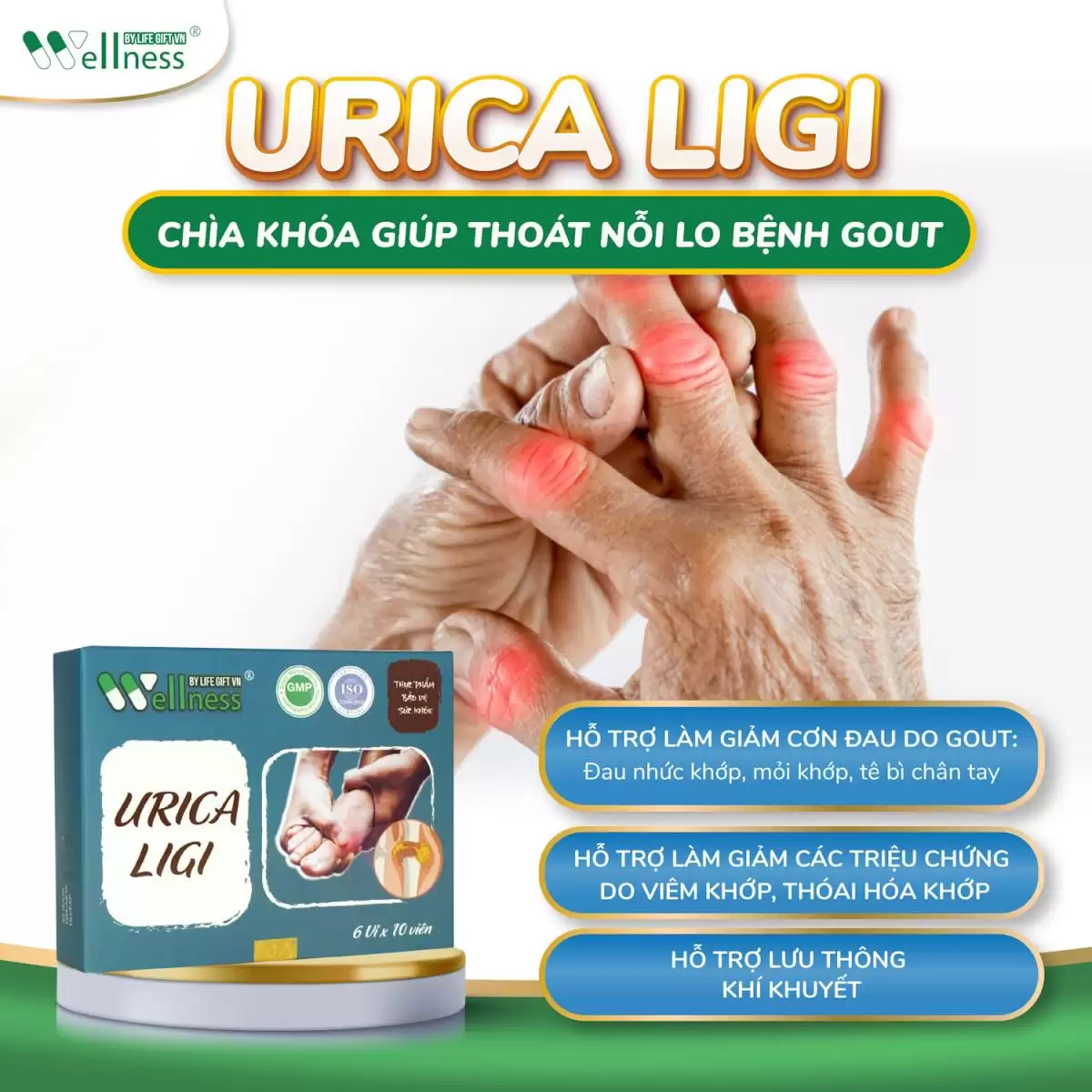 Công Dụng Thực Phẩm Hỗ Trợ Bệnh Gout Urica Ligi