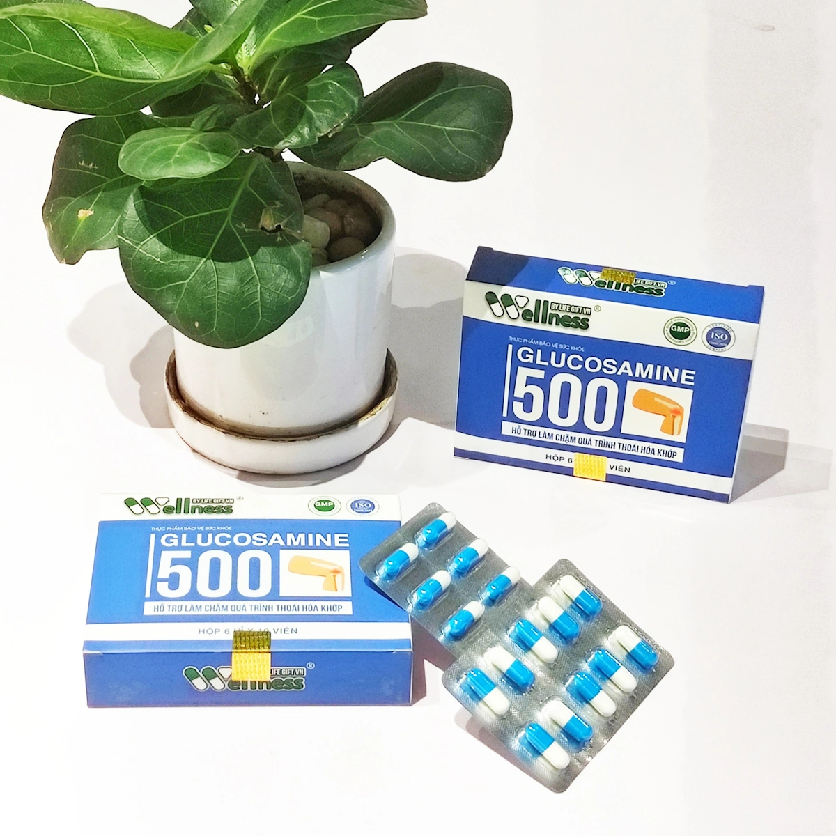 Glucosamine 500 - Hỗ Trợ Khớp - Wellness By Life Gift Vn - 1Mall.vn