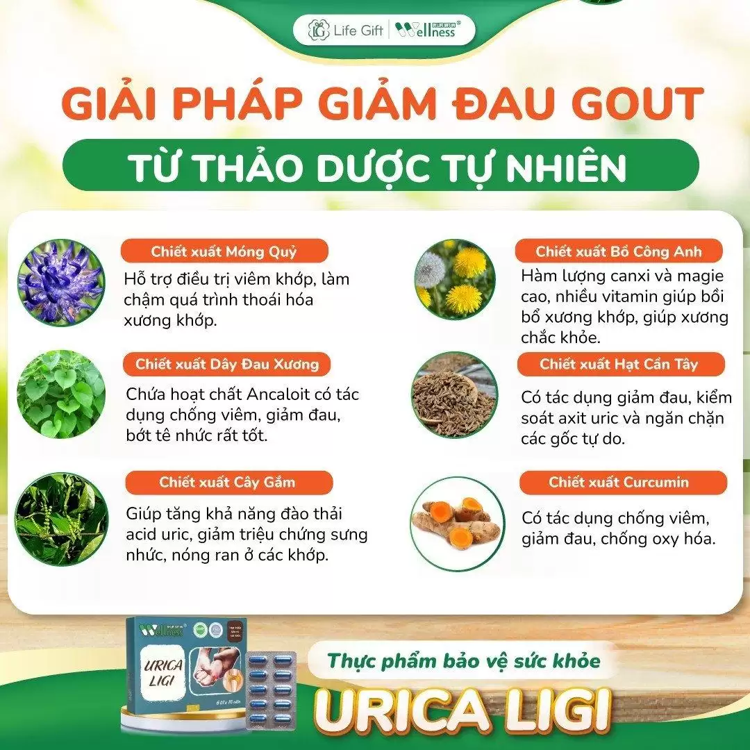 Urica Ligi - Giải Pháp Giảm đau Gout Từ Thảo Dược Tự Nhiên