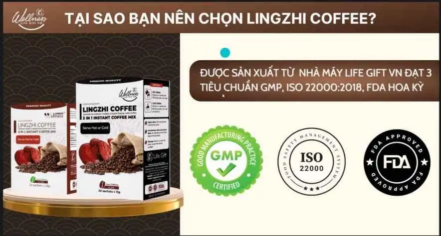 Các Chứng Nhận Của Cà Phê Sức Khỏe Lingzhi - Wellness By Life Gift Vn