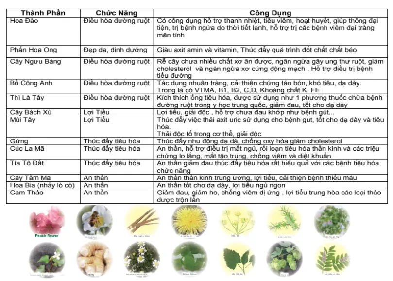 Công Dụng Các Thành Phần Thảo Mộc