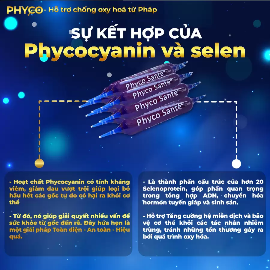 Thành Phần Phyco Sante