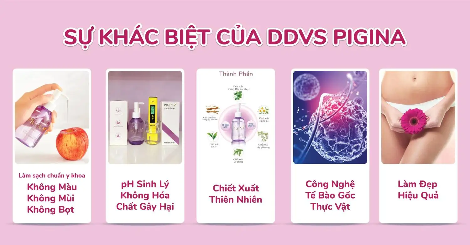 Sự Khác Biệt Của Ddvs Pigina - 1Mall.vn
