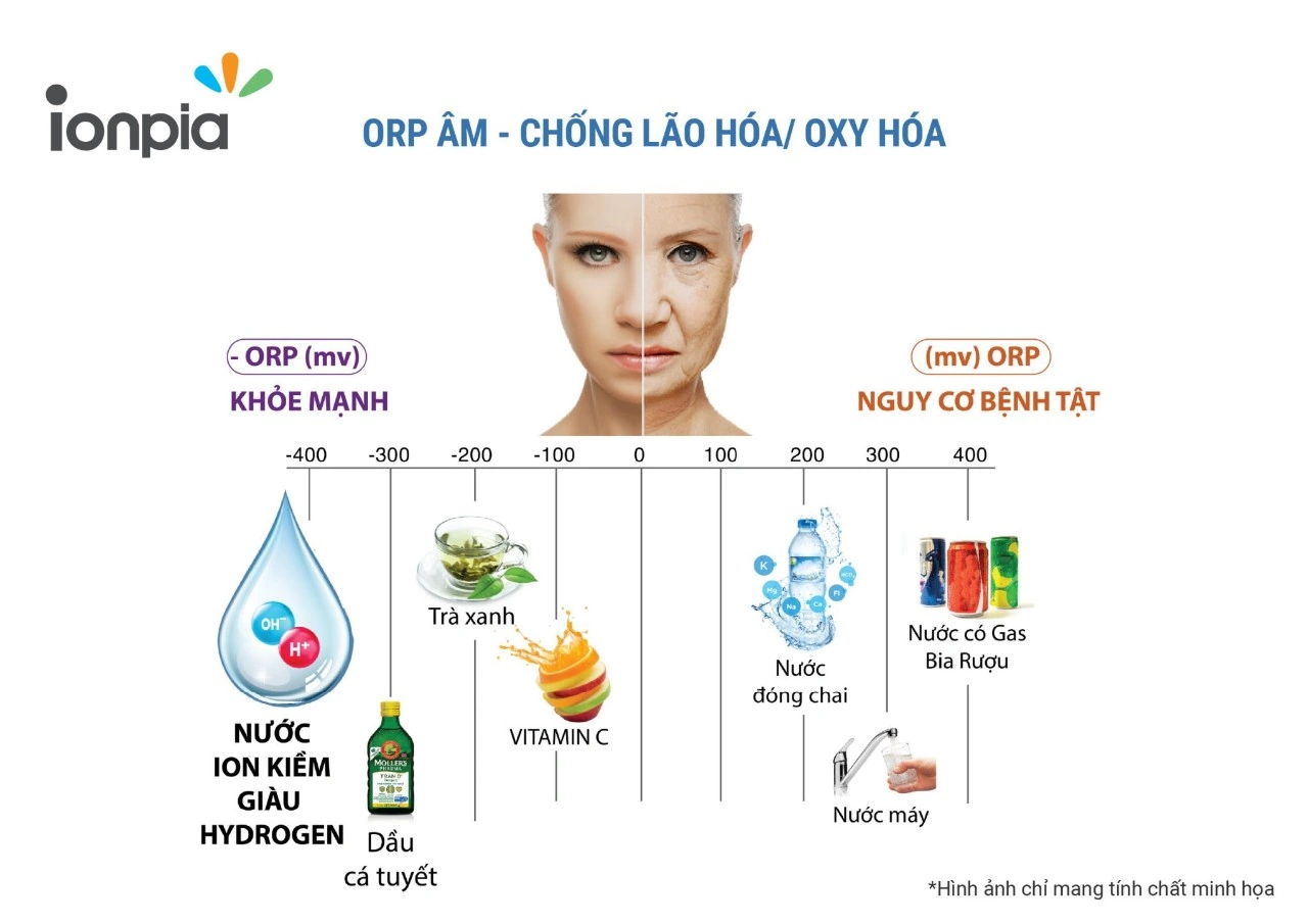 Orp Trong Các Loại Thực Phẩm